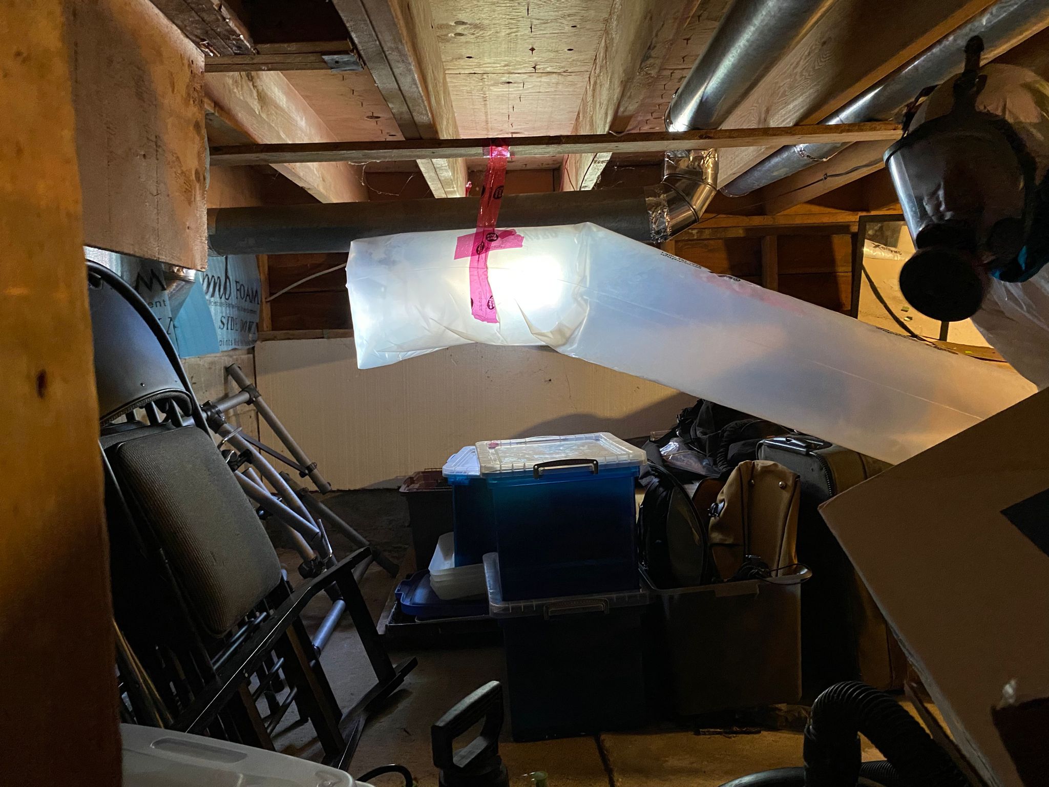 Mold Remediation